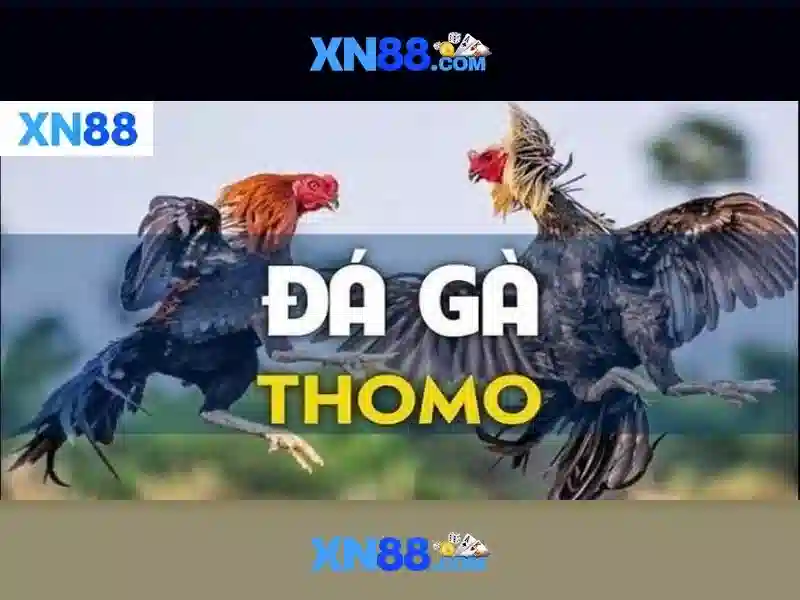 💎tỷ lệ cá cược bóng đá đức💎