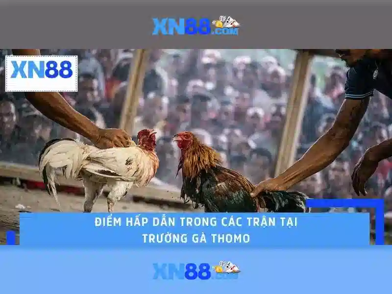 💎sosoapkapp nhà cái uy tín💎