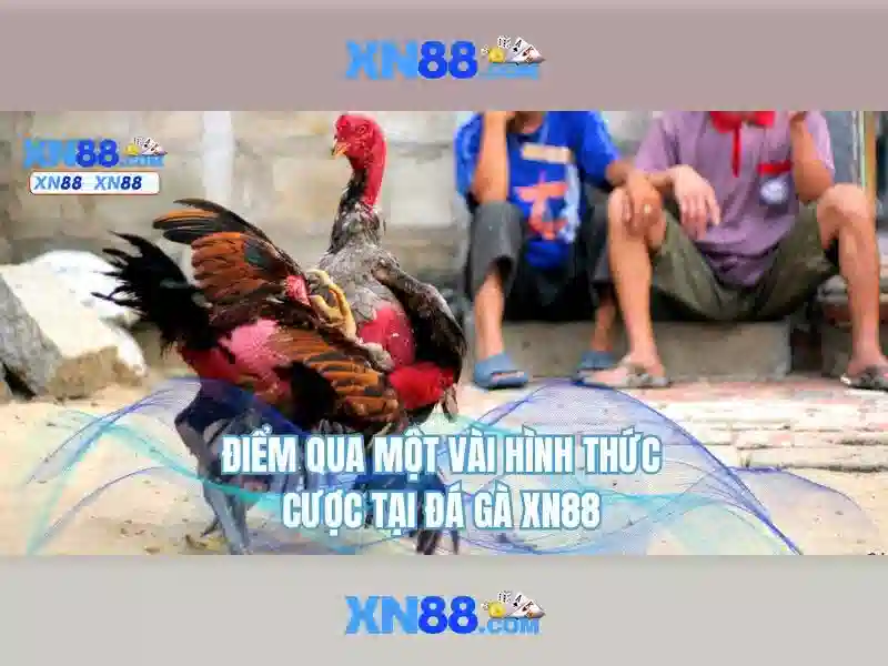 💎nha cai so 1tnc365💎