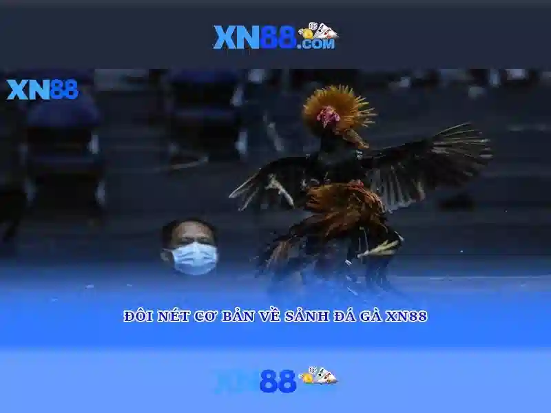 💎rút tiền 66b💎 - 66b bus route - cd 66b fitc