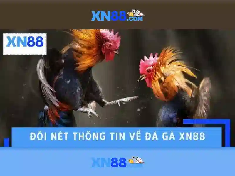 💎cái lỗ trên tường nhà chị gái💎