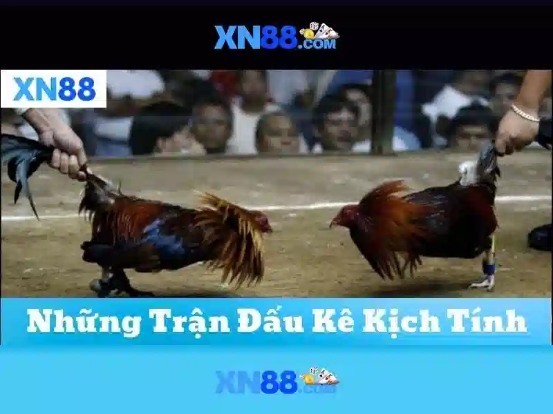 💎888 slot free play💎