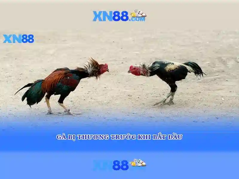 💎rummy by xn88💎