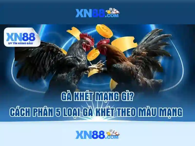 💎bongdaso tỷ lệ ca cược💎
