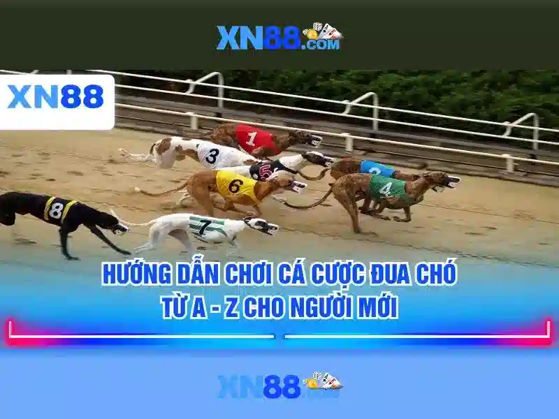 💎kèo nhà cái bet69💎 - bet69 kèo nhà cái hôm nay - bet69 kèo nhà cái