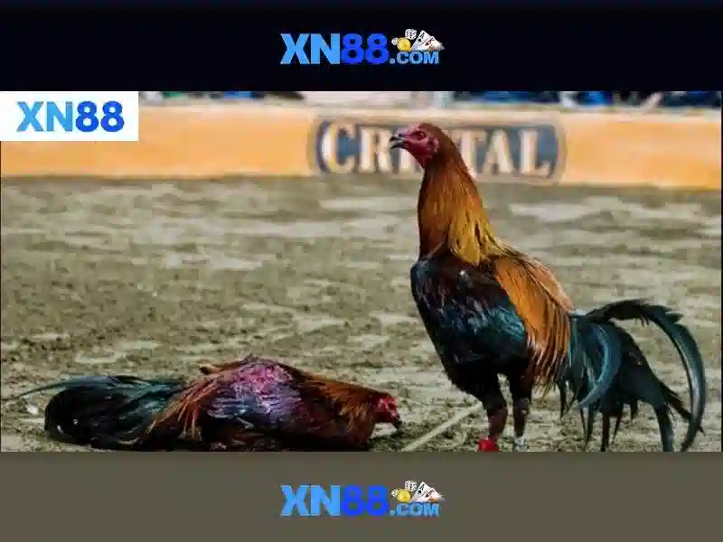 💎hb88 slot portrait💎