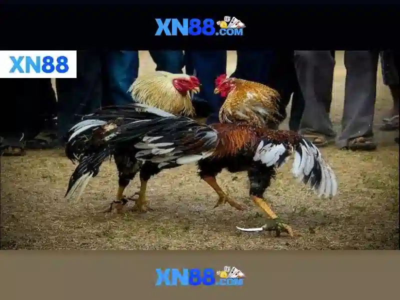 💎slot365 tải app💎 - rút thưởng Slot365 - heylink slot365 login