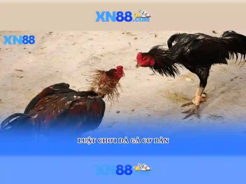 💎xn88 slot portrait💎