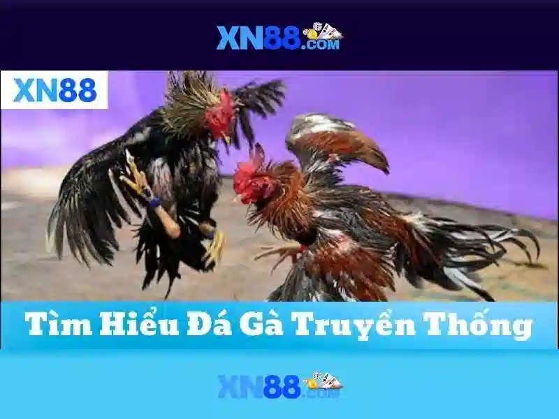 💎nhà cái 123b prozacnorx.us.com💎