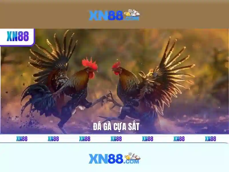 💎dang nhap sv88💎 - sv88 trực tiếp - vang cơ ps sv88