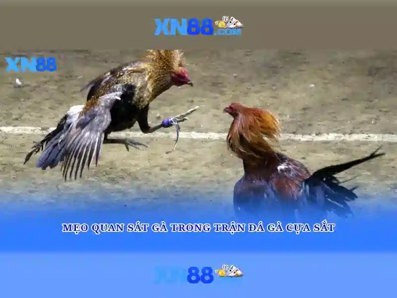 💎poker slot machines for sale💎