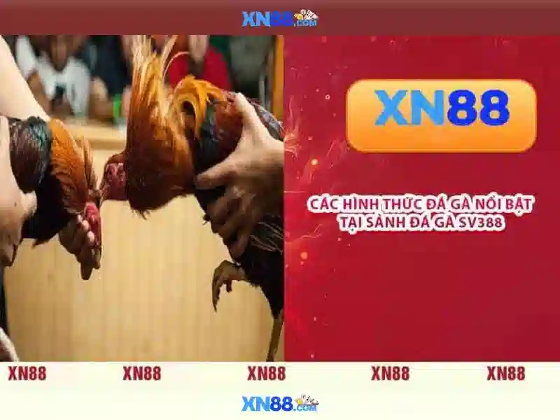 XN88 – Trải Nghiệm Slot Đỉnh Cao Với Tỷ Lệ Thắng Cao Mỗi Ngày 2026 - XN88