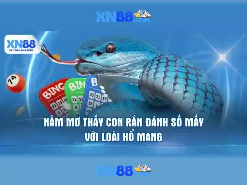 💎các loại đánh bạc💎
