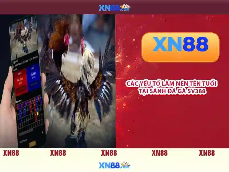 💎top nhà cái tài xỉu uy tín💎