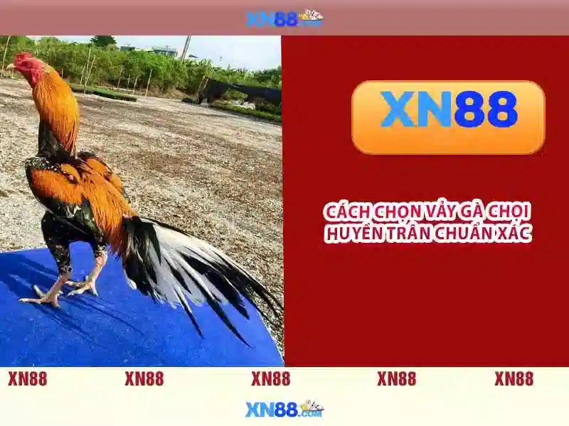 Rút Tiền XN88 Casino – Hướng Dẫn Thao Tác Đơn Giản Và Nhanh Chóng - XN88