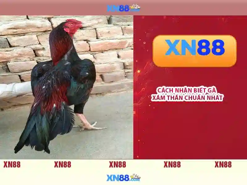 💎trang sv88💎 - sv88 fun - sv88 casino