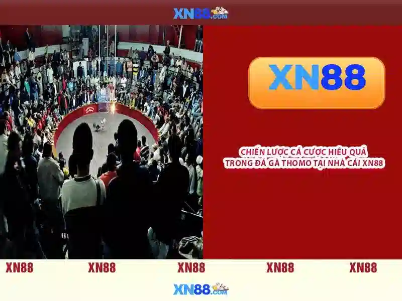 💎hb88 ccom💎 - bắn cá hb88 - hb88 là gì