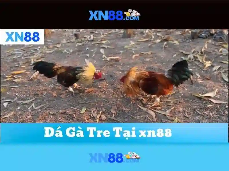 💎nhà cái đến từ châu bùi💎