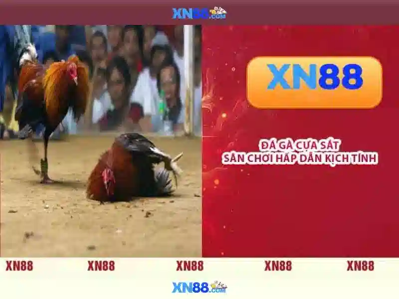 💎trang nha cái uy tín💎