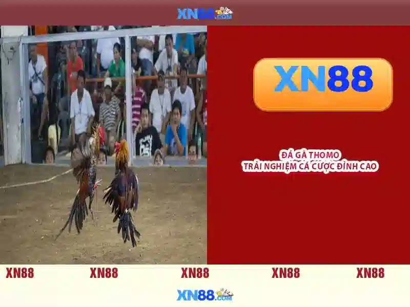 💎cá cược cá cược nhà cái ee88💎