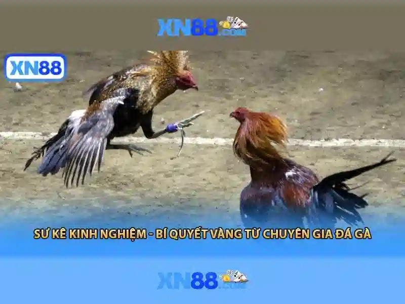 💎hb88 uy tin so 1.us💎