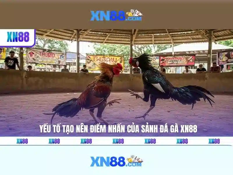💎trang cá cược bóng đá aufop.com💎