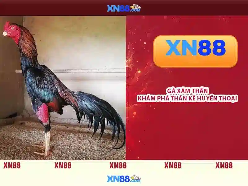 💎tai manclub apk💎 - code manclub 50k - play manclub mẽ