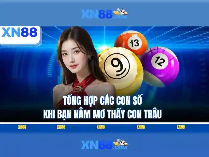 TIN TỨC - XN88 - XN88
