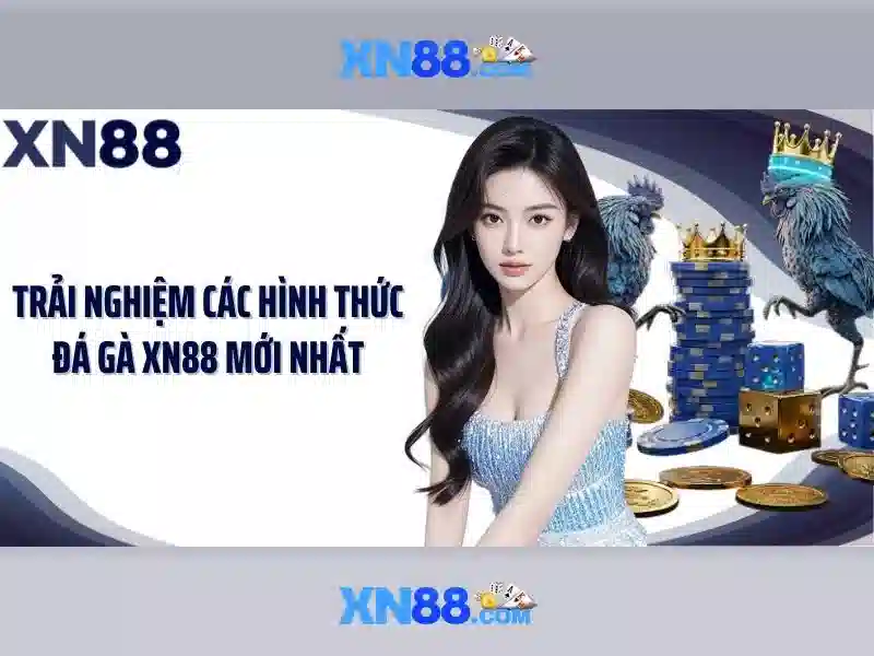 💎nhà cái nhacaiuytin💎