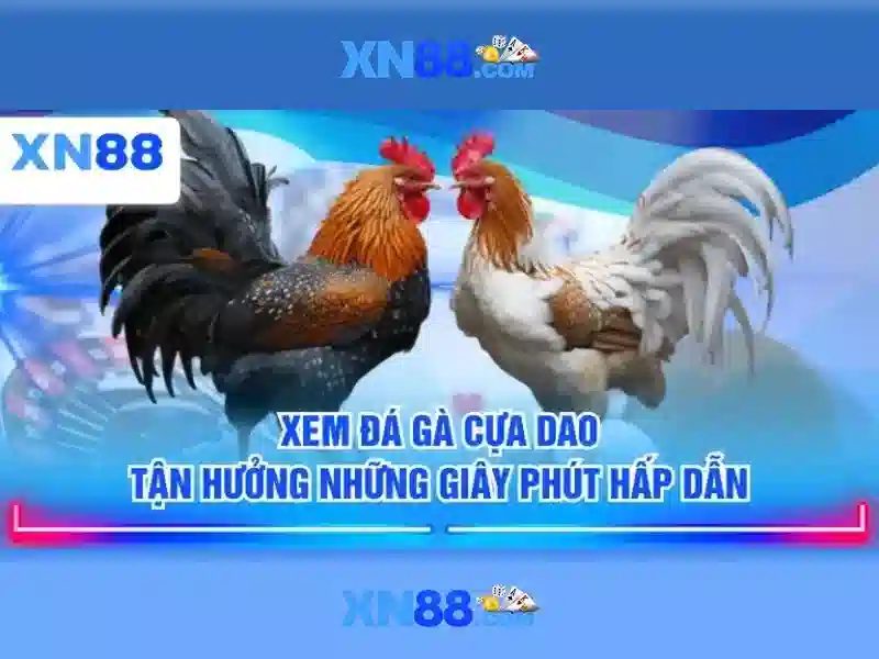 💎cách đặt cược sin88💎 - app sin88 - nhà cái sin88 gold