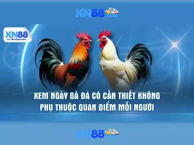 💎tỷ lệ cá cược bóng đá world cup hôm nay💎