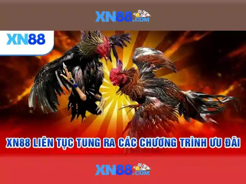💎cd 66b pe💎 - sources shein shein 66b may - 66b nguyen sy sach tan binh