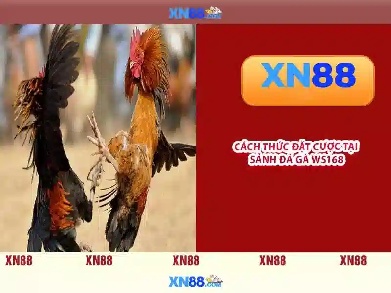 💎888slot city💎