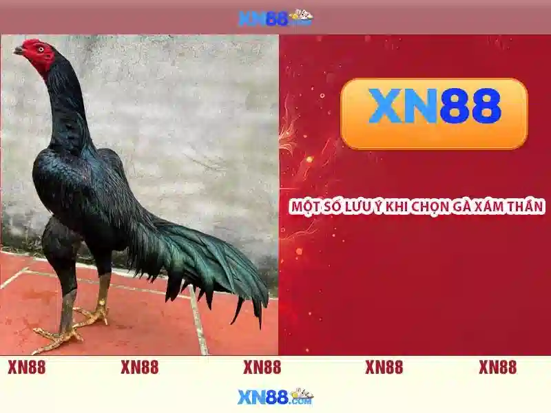 💎nhà cái uy tín nhacaiuytinso1.net💎