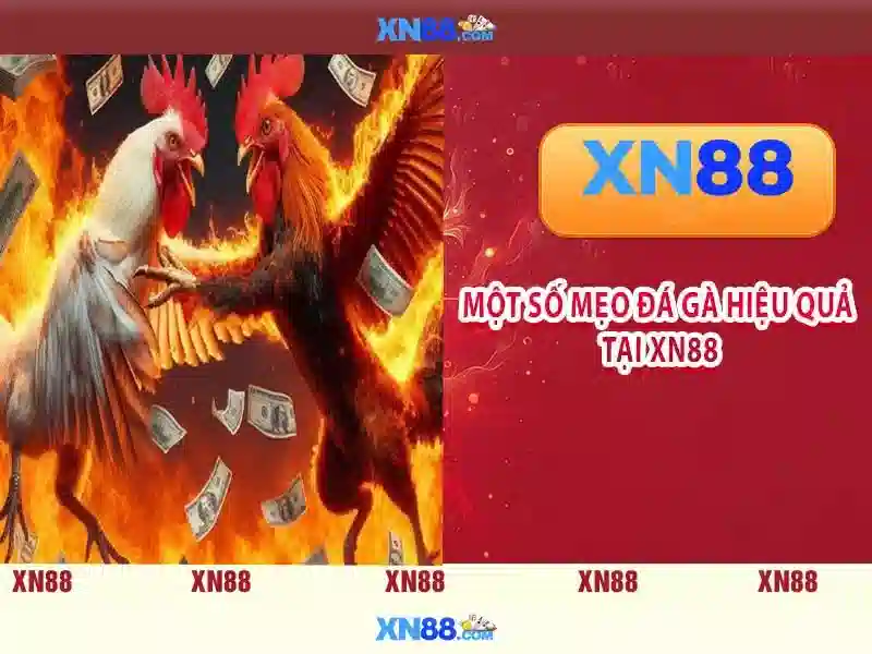 XN88 - Trải Nghiệm Game Slot Đỉnh Cao Với Game XN88 - XN88