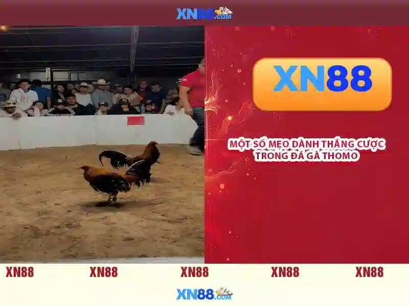 💎xn88 slot login register💎