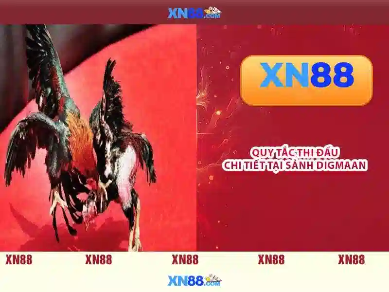 💎sportsbook hb88💎