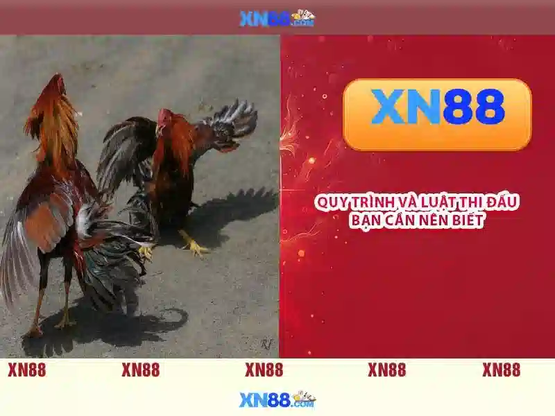 💎nha cai uy tin casinohub us💎