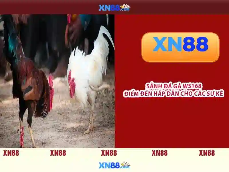 💎fabet bong da💎 - mã thưởng fabet - fabet là gì