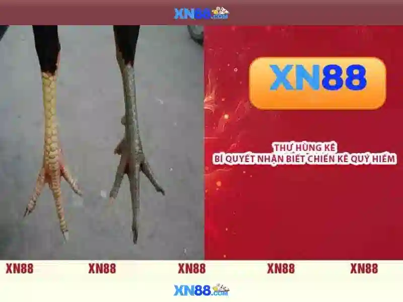 💎manclub apk💎 - manclub download android - nhận 50k manclub