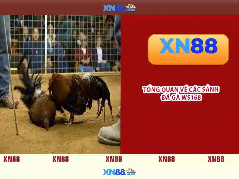 💎tải tx88💎 - link vào tx88 - nhà cái tx88