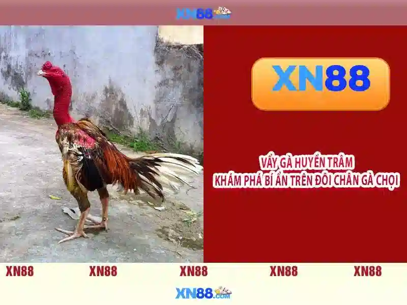 💎888 slot cyti💎