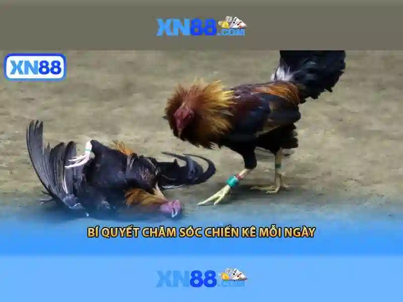 💎888 slot nổ hũ💎