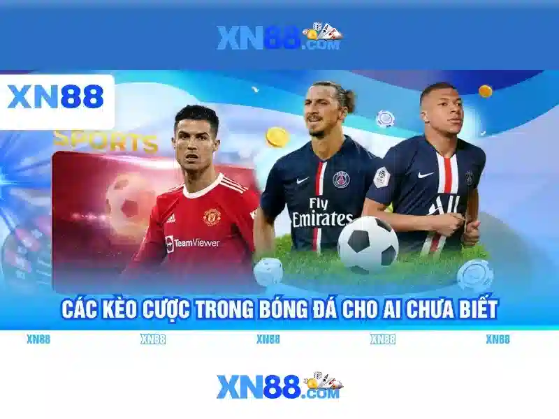 💎nhà cái uy tín hud💎