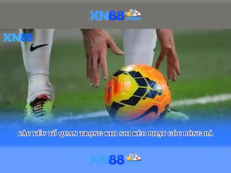 💎đá gà nhà cái m8win💎