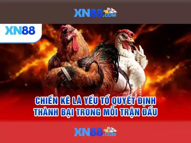 💎tỷ lệ kèo nhà cái trực tuyến hôm nay💎