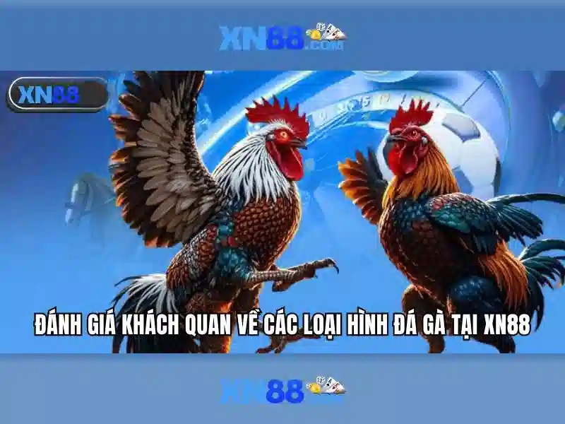 💎xe điện hb88💎