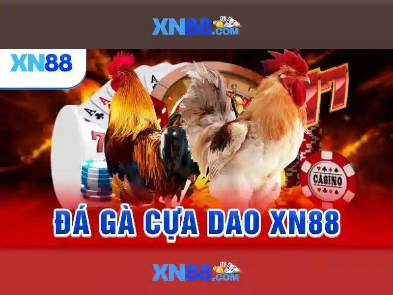  chất lượng - XN88