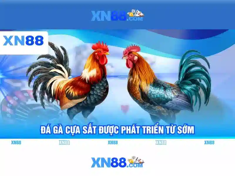 💎tội đánh bạc lô đề💎