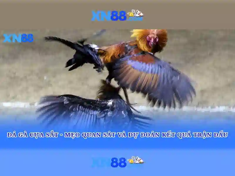 💎99win 33 com💎 - 99win game login - 99win uk com